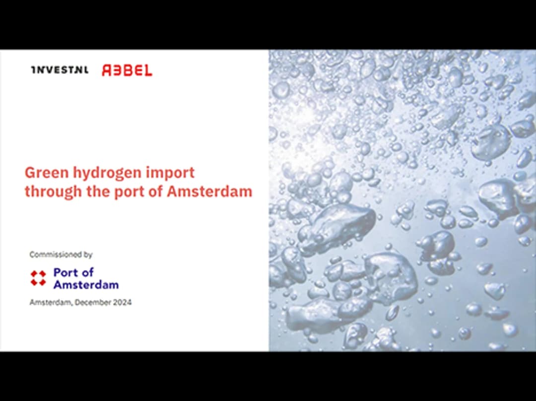 Green hydrogen import through the port of Amsterdam