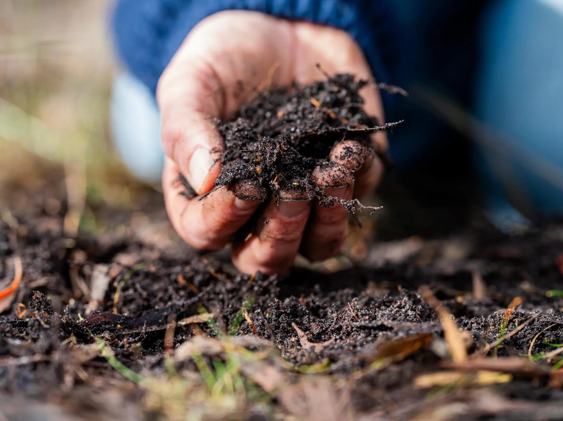 Toegang tot grond: sleutel voor duurzame landbouw